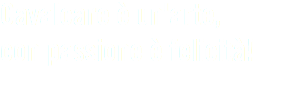 Cavalcare è un'arte,
con passione è felicità!