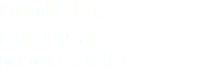 Pascoli e box, grandi spazi per ogni cavallo!